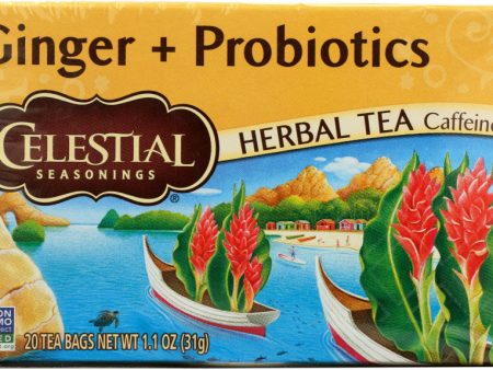 CELESTIAL SEASONINGS: Ginger Probiotic Herbal Tea Pack of 20, 1.1 oz For Discount