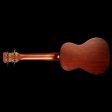 Journey Instruments J-Uke UC310 Concert-Size Ukulele Solid Mahogany Top Fashion