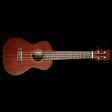 Journey Instruments J-Uke UC310 Concert-Size Ukulele Solid Mahogany Top Fashion